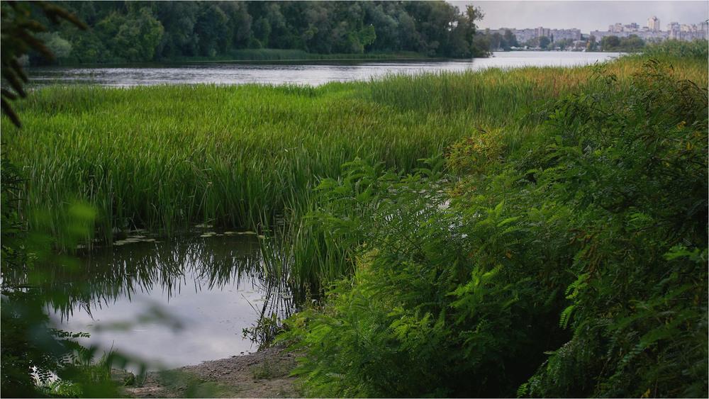 Фотографія Пейзаж / Edward / photographers.ua