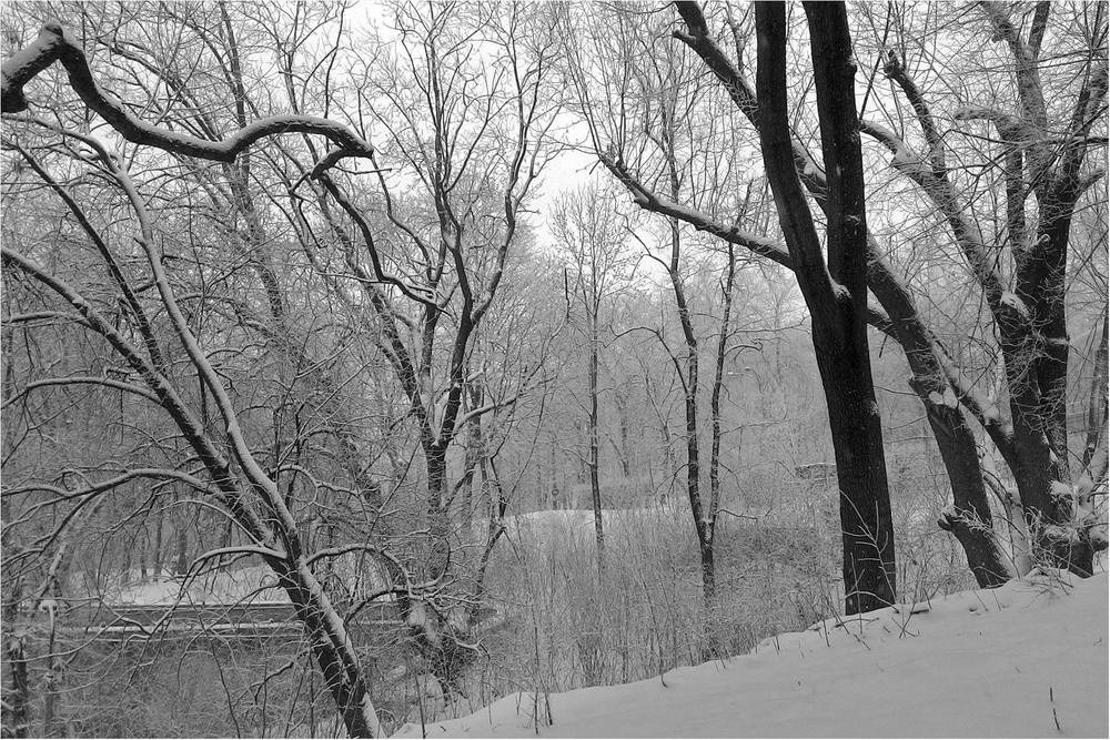 Фотографія Пейзаж / Edward / photographers.ua