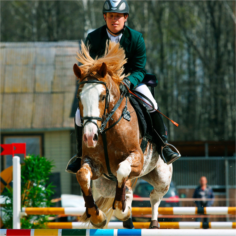 Фотографія Томагавк / Edward / photographers.ua