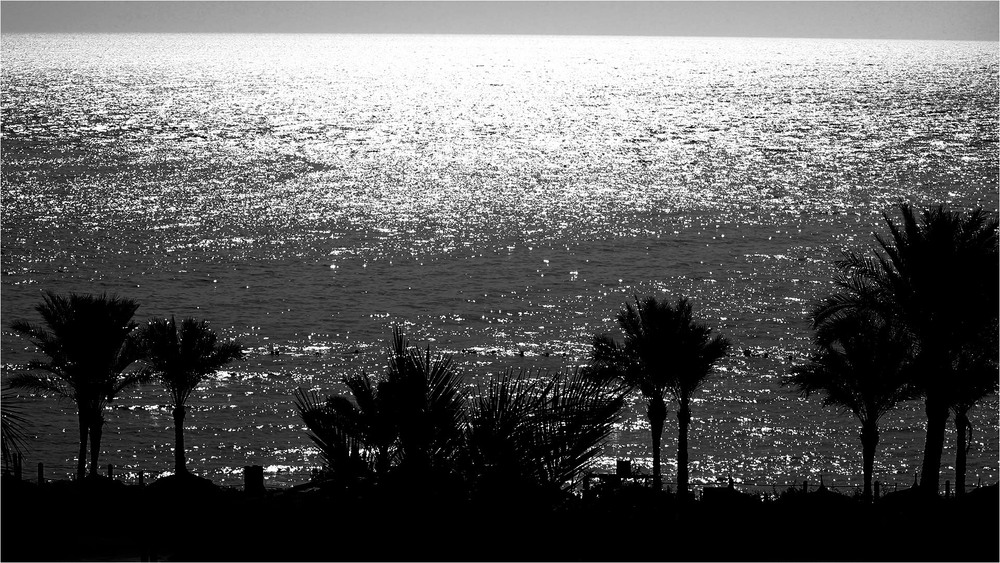 Фотографія Серія "Контрасти". Море і пальми / Edward / photographers.ua