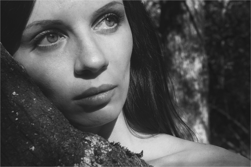 Фотографія Серія "Мова її погляду". Ліс і осінь / Edward / photographers.ua