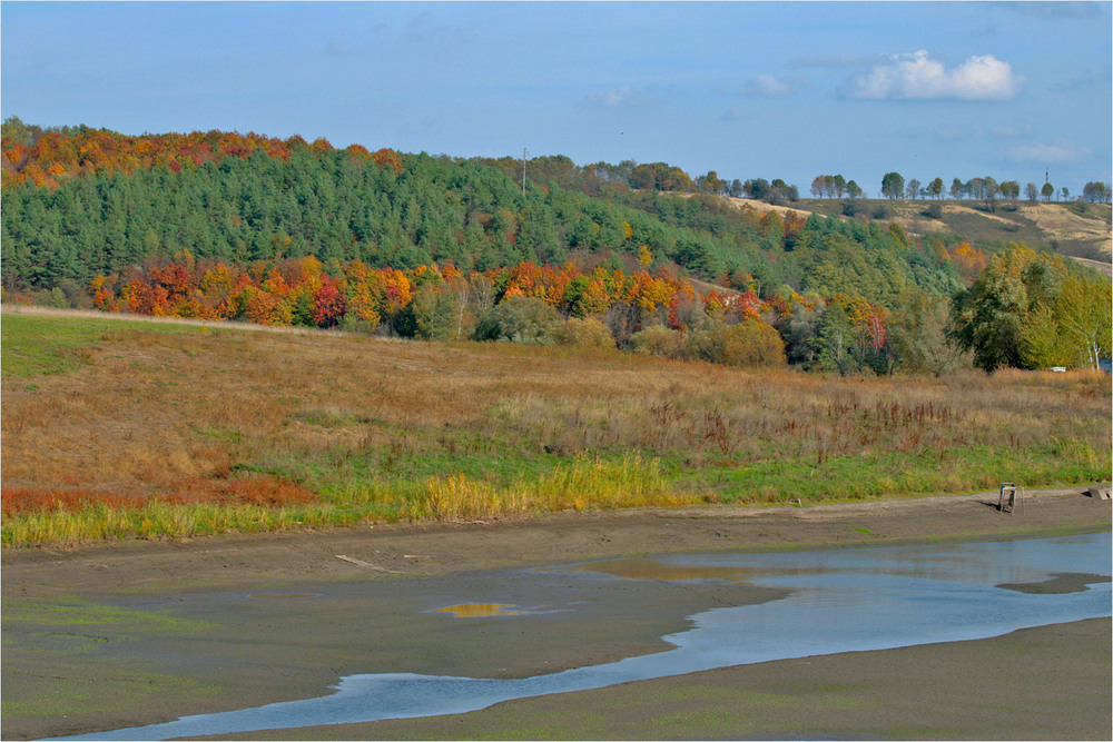Фотографія Озеречко. Осінь. Ліс. / Edward / photographers.ua