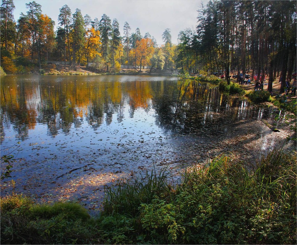 Фотографія Пікнік. / Edward / photographers.ua