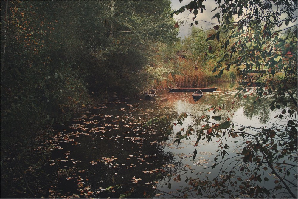 Фотографія Човни / Edward / photographers.ua