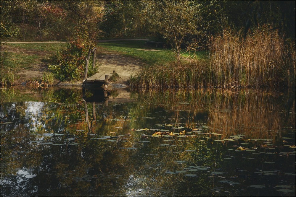 Фотографія Озеречко, місце думок / Edward / photographers.ua