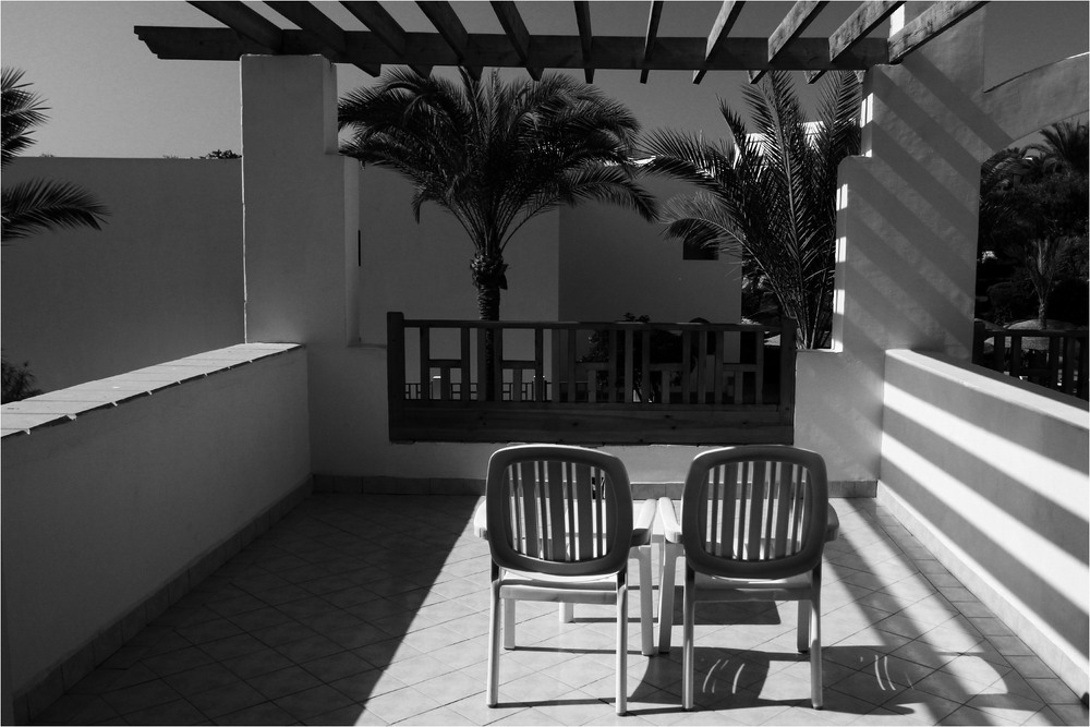 Фотографія Пальми / Edward / photographers.ua