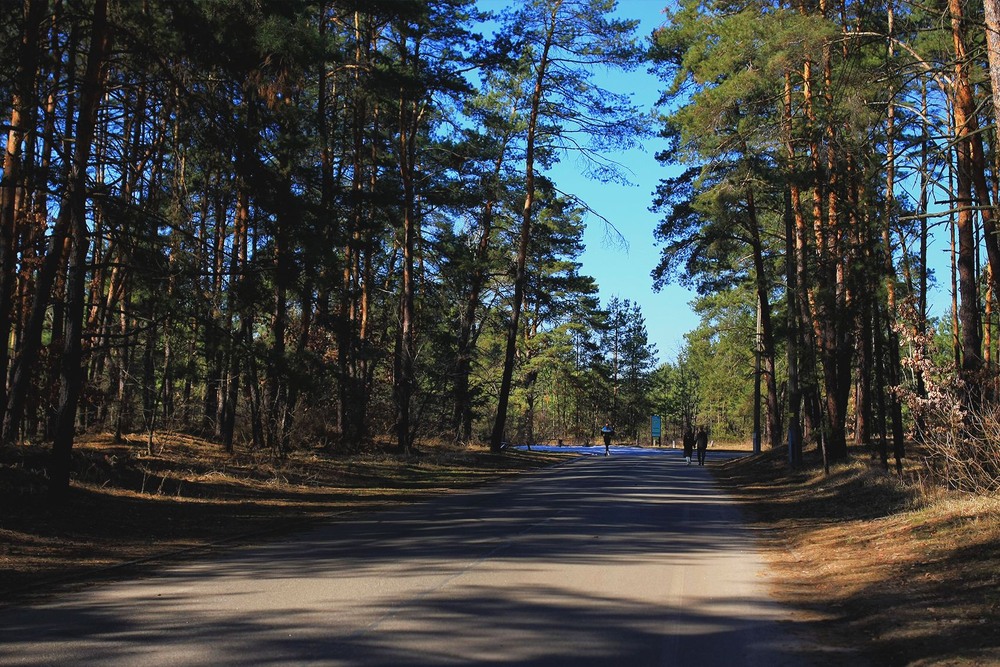 Фотографія Серія "Відкритий простір". Рука в руці / Edward / photographers.ua
