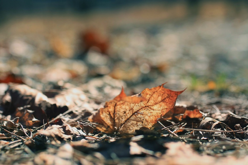 Фотографія Пейзаж / Edward / photographers.ua