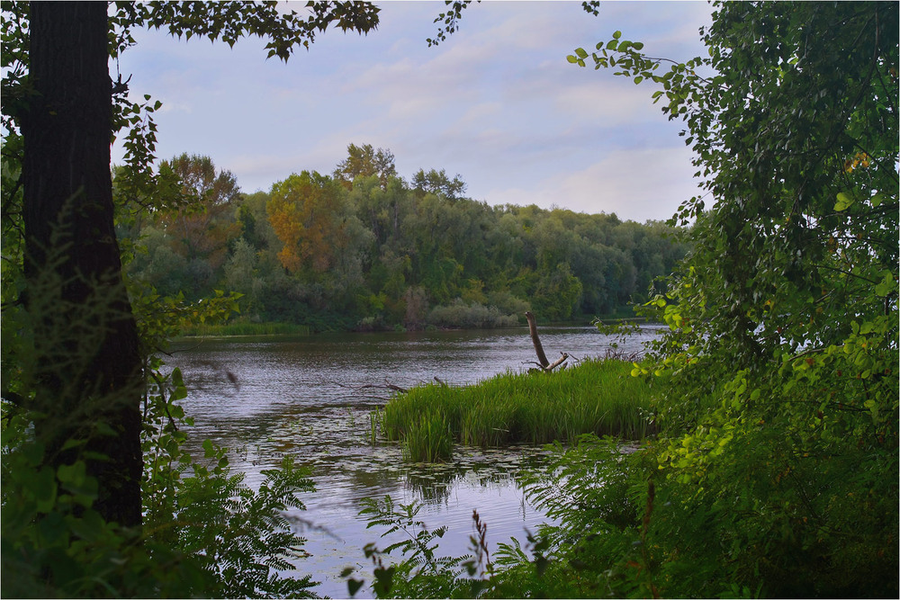 Фотографія Серія "Куточок великого міста" . У неділю на Дніпрі / Edward / photographers.ua