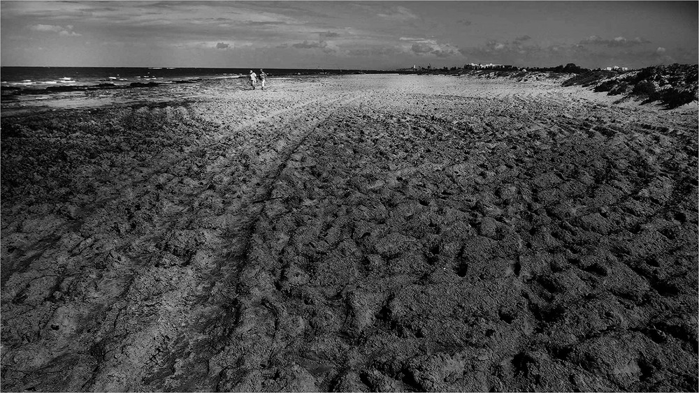 Фотографія Поруч завжди йду... / Edward / photographers.ua