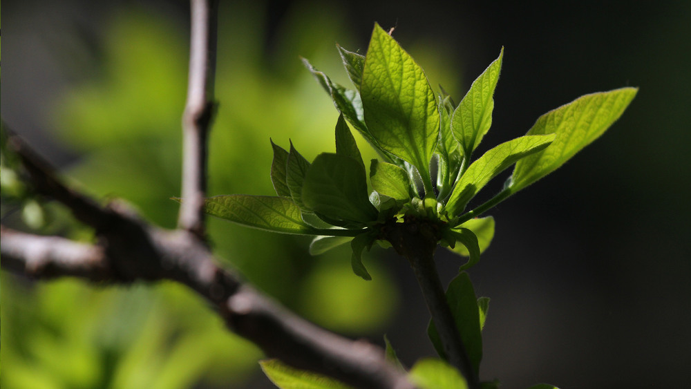 Фотографія Сонячна замальовка. Тепло / Edward / photographers.ua