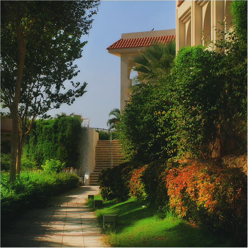 Фотографія Сад в якому порхають мрії / Edward / photographers.ua