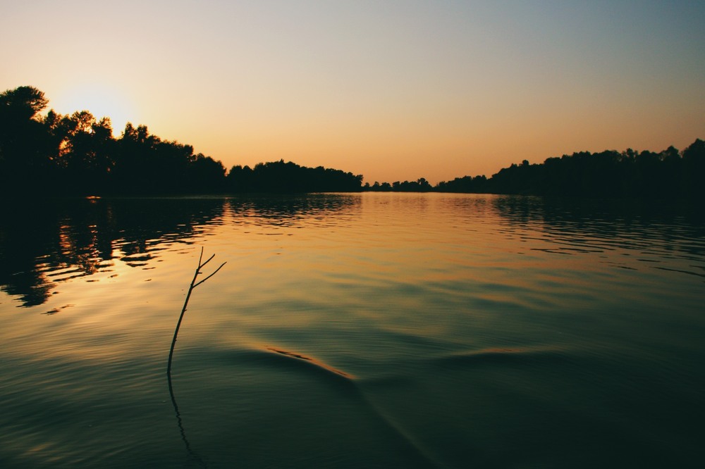 Фотографія Гармонія думок / Edward / photographers.ua