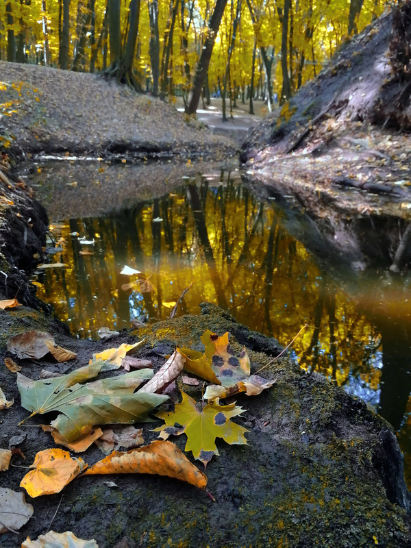 Фотографія Запах голосіївської осені... / Igor Chervonenko / photographers.ua