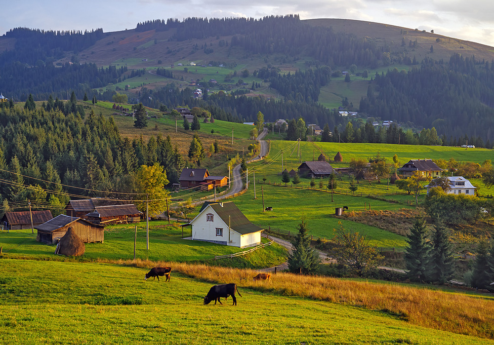 Фотографія Надвечір'я / Igor Chervonenko / photographers.ua