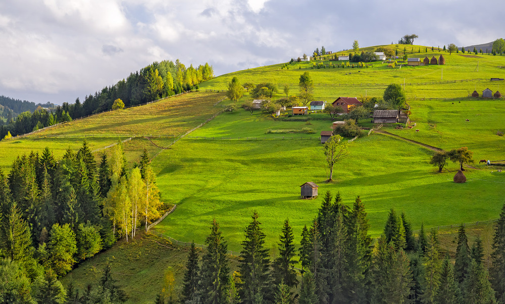 Фотографія Полонини / Igor Chervonenko / photographers.ua