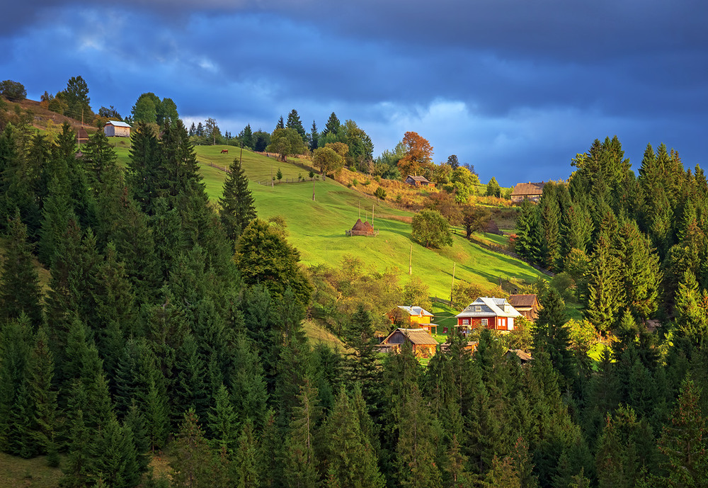 Фотографія Під сонцем / Igor Chervonenko / photographers.ua