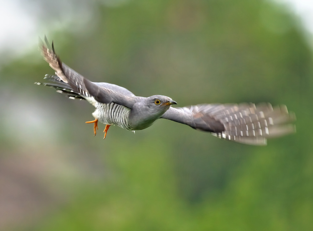 Фотографія Мить / Igor Chervonenko / photographers.ua