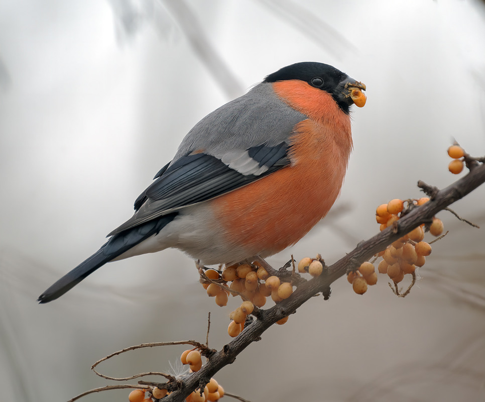 Фотографія Завтра зима / Igor Chervonenko / photographers.ua