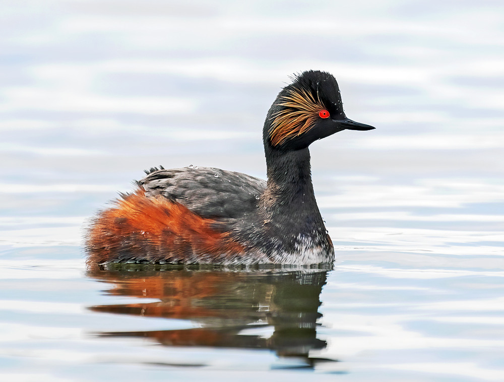 Фотографія Модний макіяж / Igor Chervonenko / photographers.ua