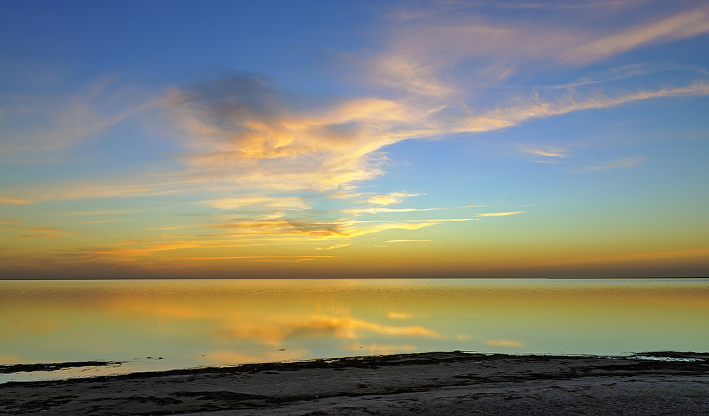 Фотографія Херсонська обл., Україна / Igor Chervonenko / photographers.ua