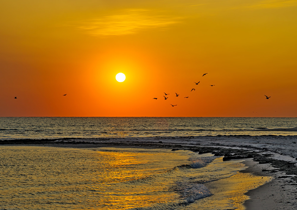 Фотографія Вечоріє / Igor Chervonenko / photographers.ua
