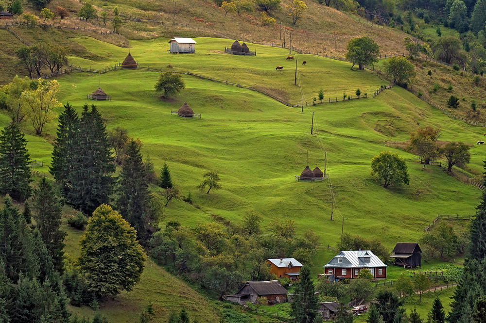 Фотографія Верховина / Igor Chervonenko / photographers.ua