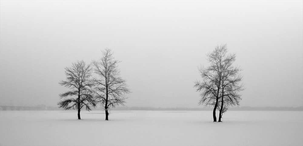 Фотографія Не хватает... / Алена Двужильная / photographers.ua