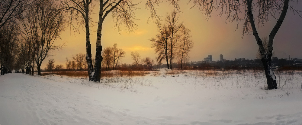 Фотографія Зимний вечер / Алена Двужильная / photographers.ua