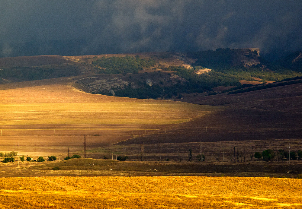 Фотографія *** / Алена Двужильная / photographers.ua