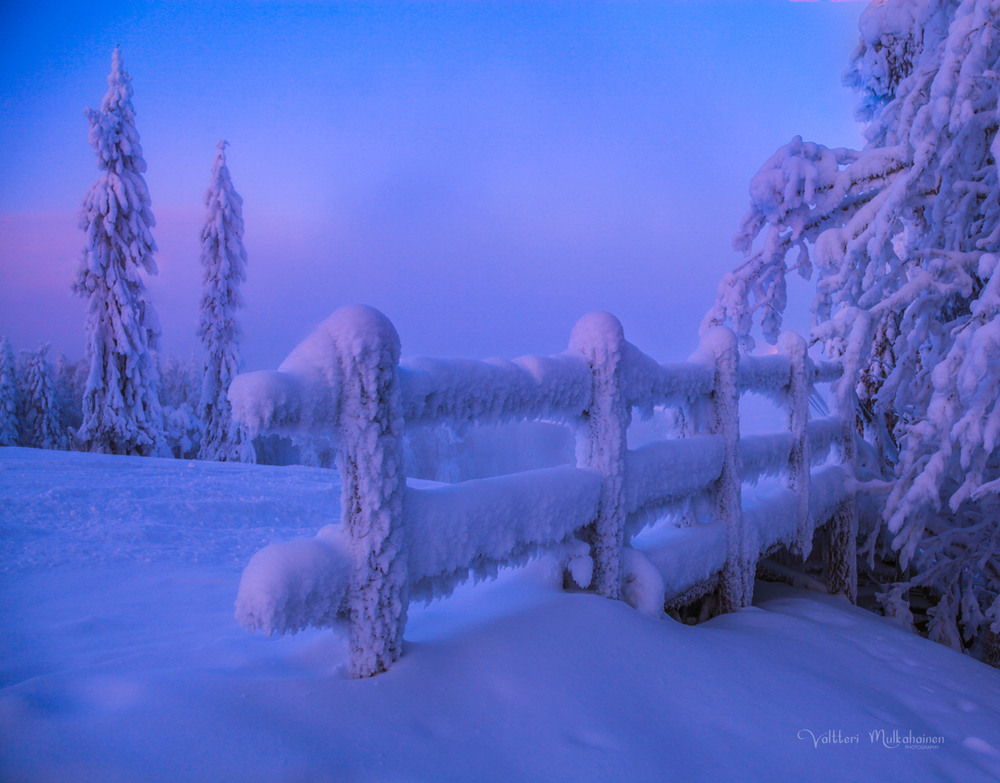 Фотографія Зимовим днем / Valtteri Mulkahainen / photographers.ua