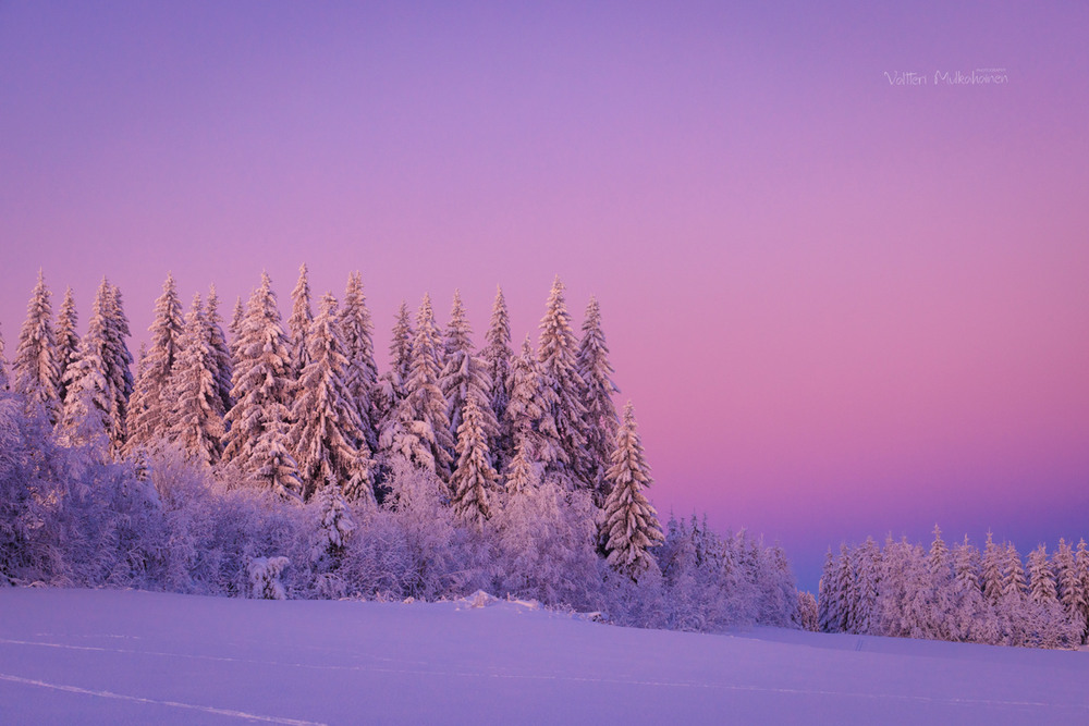 Фотографія Барви зими / Valtteri Mulkahainen / photographers.ua