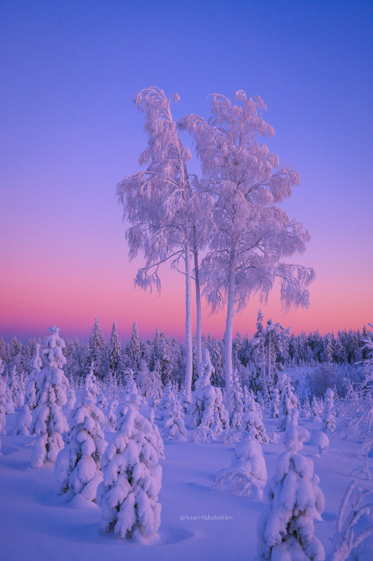 Фотографія Барви зими / Valtteri Mulkahainen / photographers.ua
