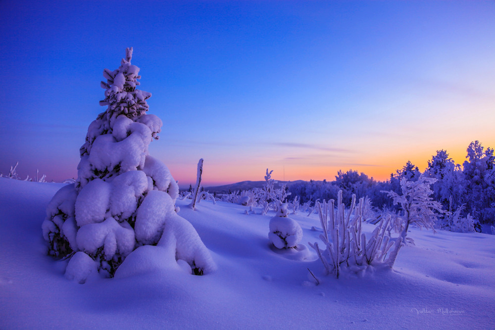Фотографія Зимового вечора / Valtteri Mulkahainen / photographers.ua