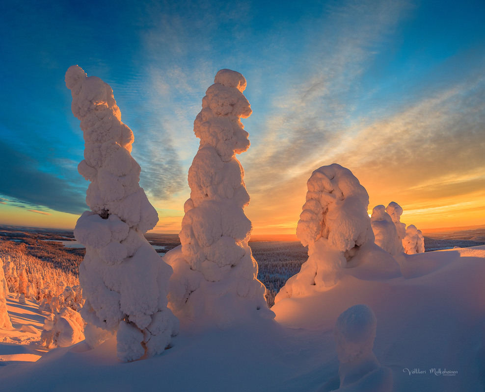 Фотографія Вартові зими / Valtteri Mulkahainen / photographers.ua