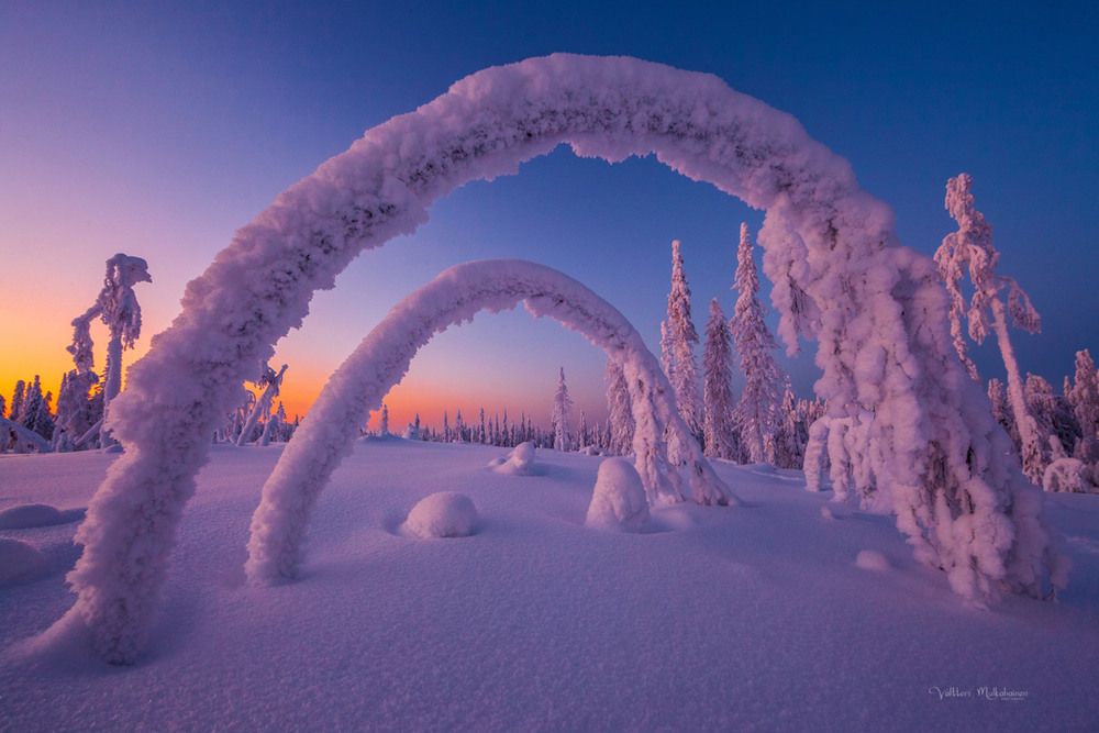 Фотографія Ворота у зиму / Valtteri Mulkahainen / photographers.ua