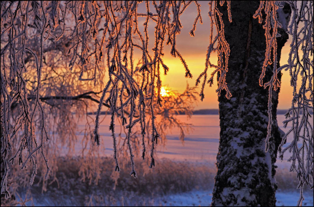 Фотографія Рождественское утро ... / Valtteri Mulkahainen / photographers.ua