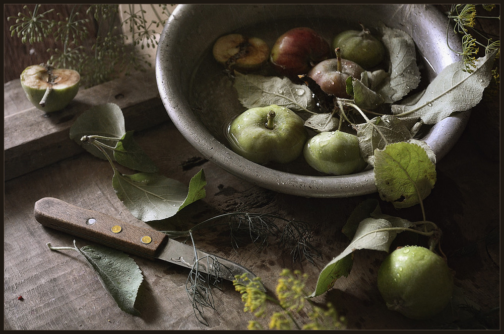 Фотографія Еще раз про яблочки.. / Александр  Хромеев / photographers.ua