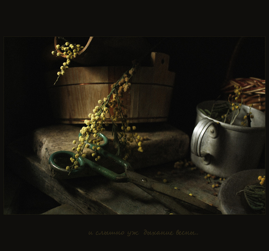 Фотографія и слышно уж дыхание весны.. / Александр  Хромеев / photographers.ua