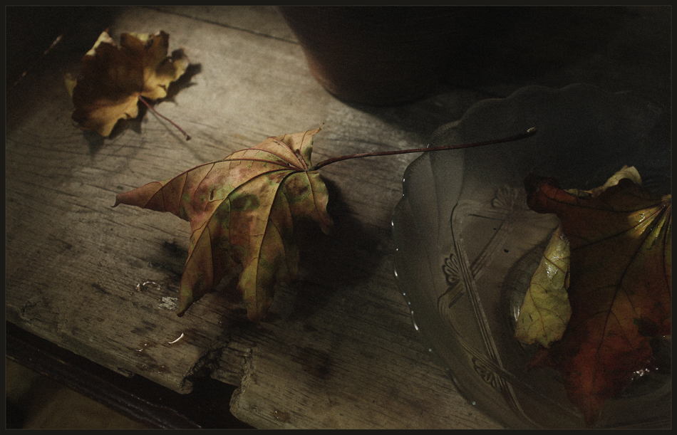 Фотографія облетели листья, осени печаль.. / Александр  Хромеев / photographers.ua