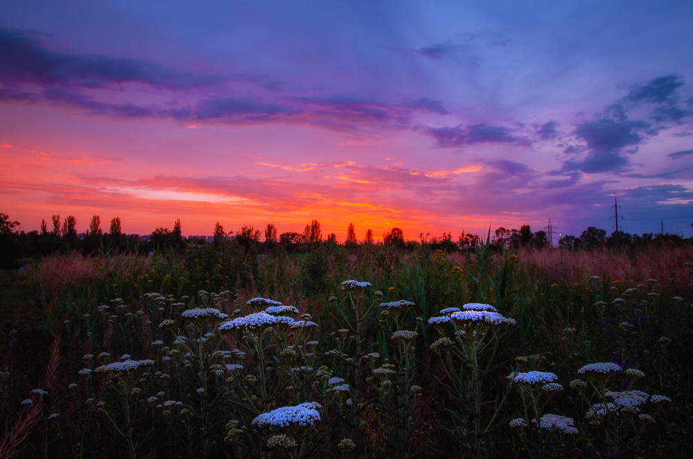 Фотографія Симфония заката.. / Александр  Хромеев / photographers.ua