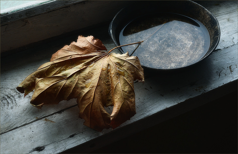 Фотографія Как плачет осень в ноябре.. / Александр  Хромеев / photographers.ua