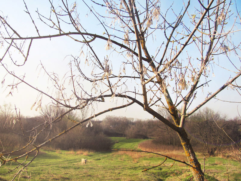 Фотографія Пейзаж / Vasilisa / photographers.ua