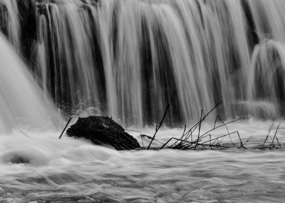 Фотографія *** / Роман Штанько / photographers.ua