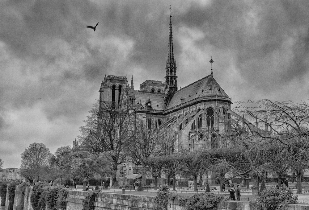 Фотографія Notre Dame de Paris - 850 ans / illyaBel / photographers.ua