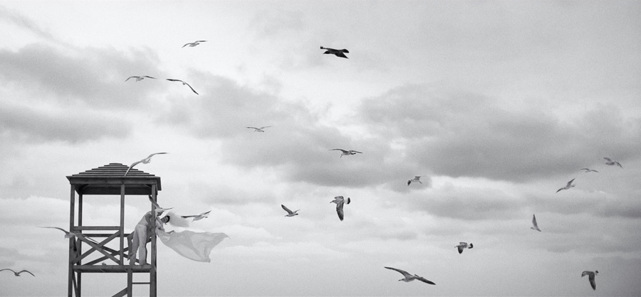 Фотографія Свадьба / Алексей Белан / photographers.ua