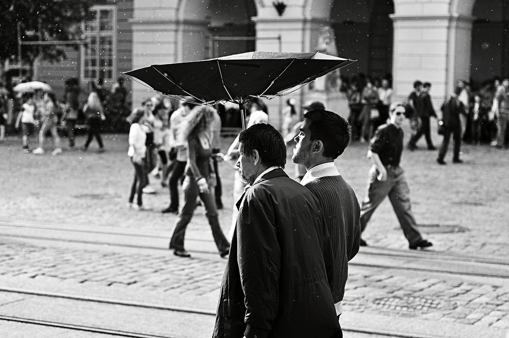 Фотографія Other side of umbrella / Petro H. / photographers.ua