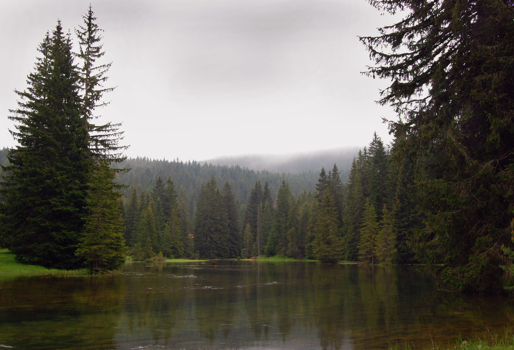 Фотографія Ранкова тиша / AlGORITM / photographers.ua