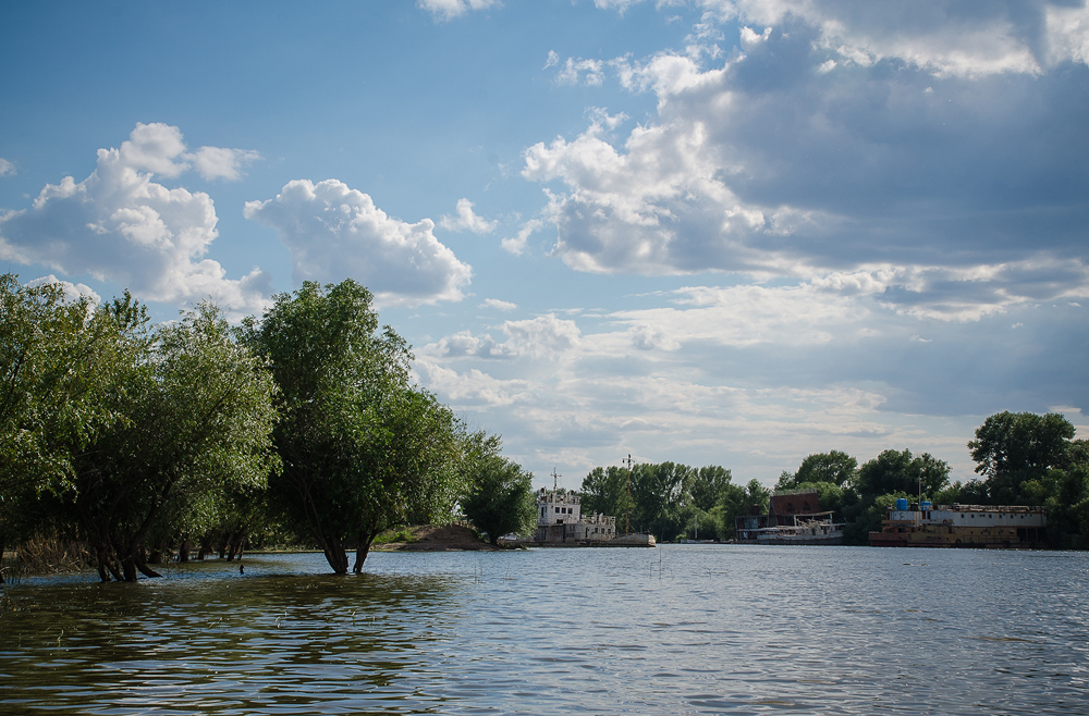 Фотографія Брошенные... / Zhelnova Galiya / photographers.ua