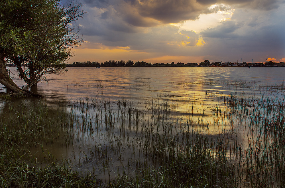 Фотографія ... / Zhelnova Galiya / photographers.ua